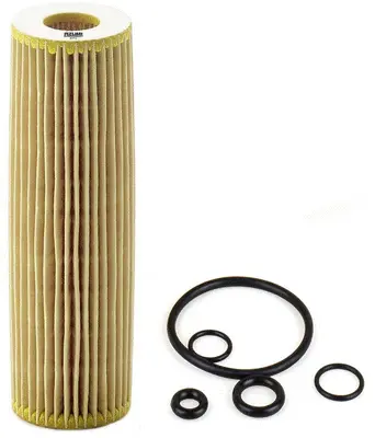 Oil Filter (OE31021M)