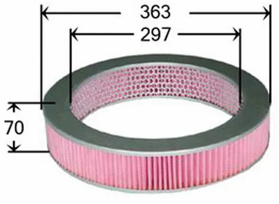 Air Filter (A22501)