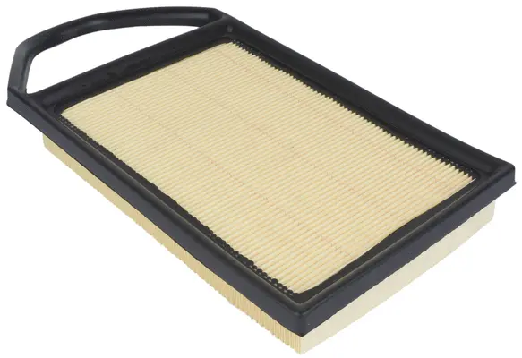 Air Filter (A21009)