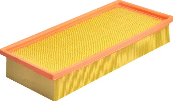Air Filter (A42054)
