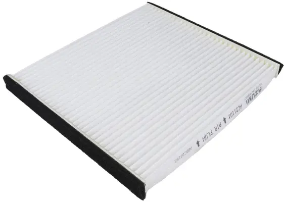 Filter, cabin air (AC21101)