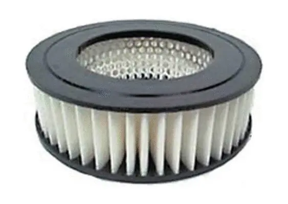 Air Filter (A21135)