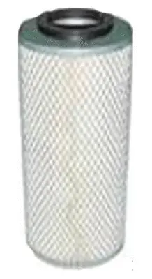 Air Filter (A20006)