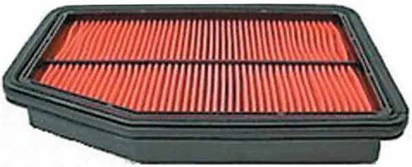 Air Filter (A25454)