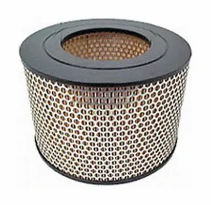 Air Filter (A21167)