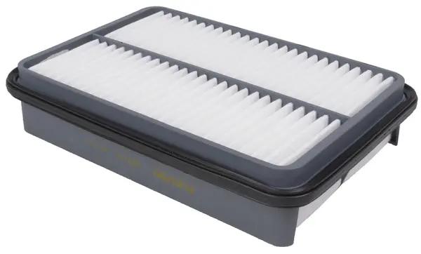 Air Filter (A21171)