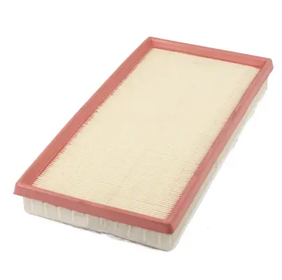 Air Filter (A23501)