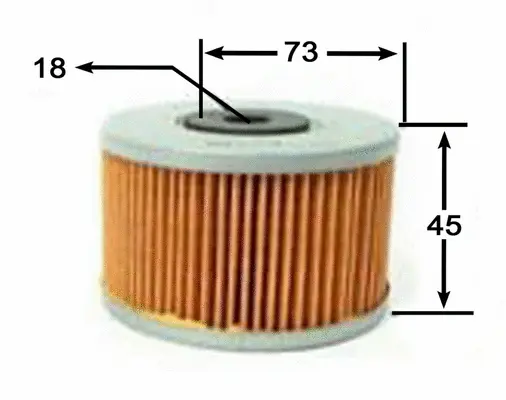 Fuel Filter (FE23308)
