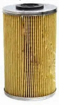 Fuel Filter (FE34006)