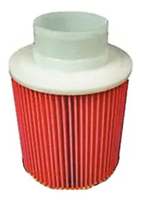 Air Filter (A28831)