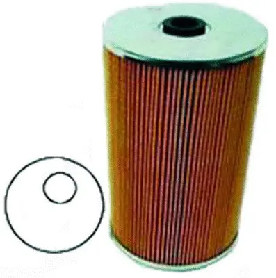 Fuel Filter (FE22030)