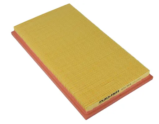 Air Filter (A31344)