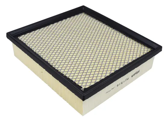 Air Filter (A21519)