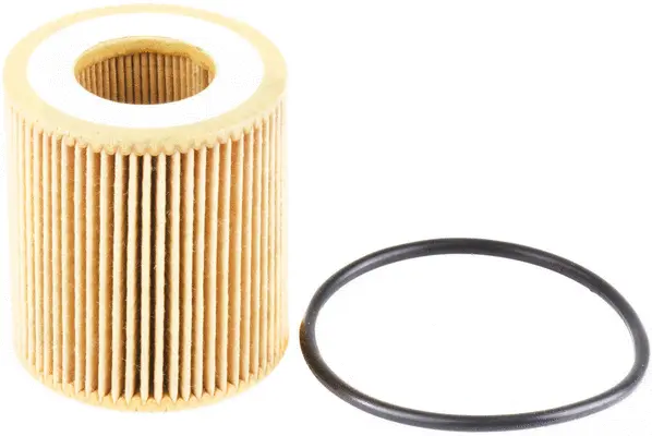 Oil Filter (OE51001)