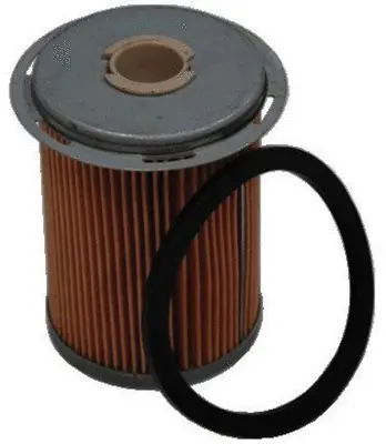 Fuel Filter (FE22024)