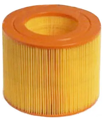 Air Filter (A44162)