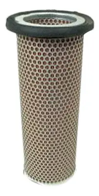 Air Filter (A22565IN)