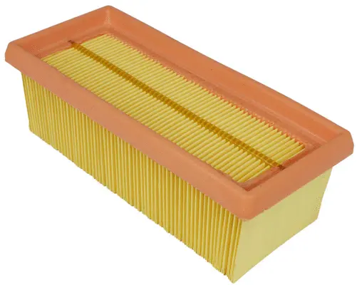 Air Filter (A43169)