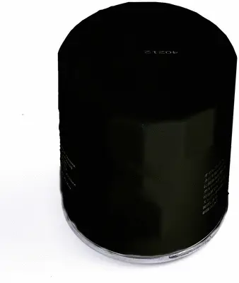 Oil Filter (C33025)