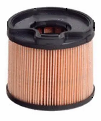 Fuel Filter (FE42012)