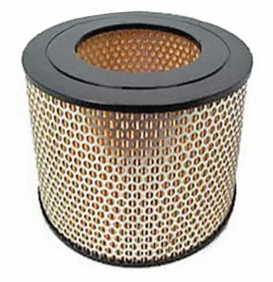 Air Filter (A21149)