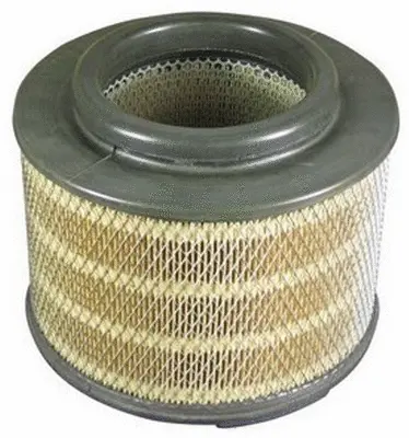 Air Filter (A21513)