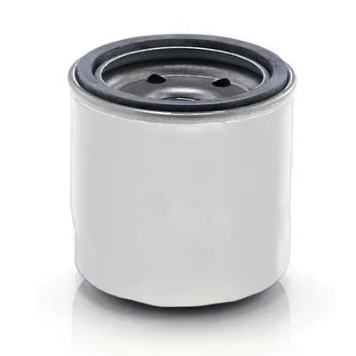 Oil Filter (C29950M)