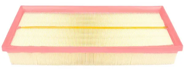 Air Filter (A22017)