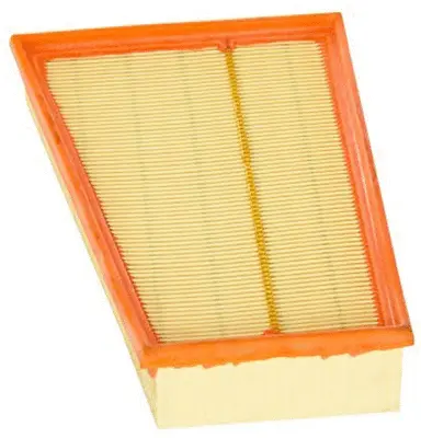Air Filter (A43009)