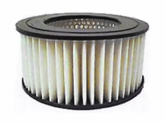 Air Filter (A21132)