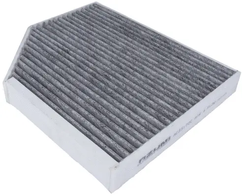 Filter, cabin air (AC33172C)