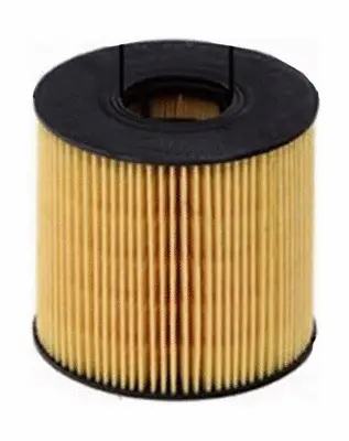 Oil Filter (OE30001)