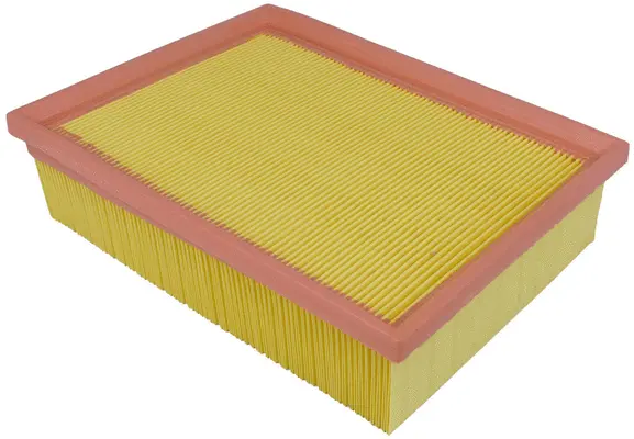 Air Filter (A50200)