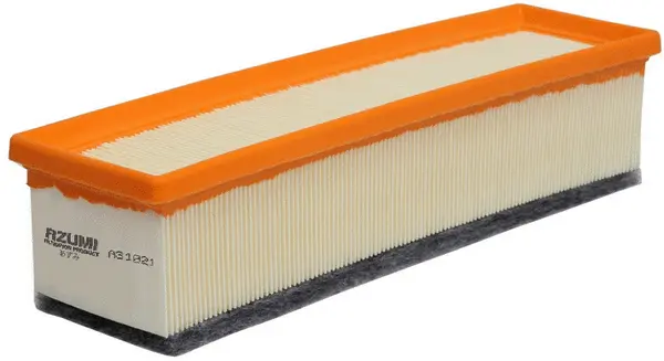 Air Filter (A31021)
