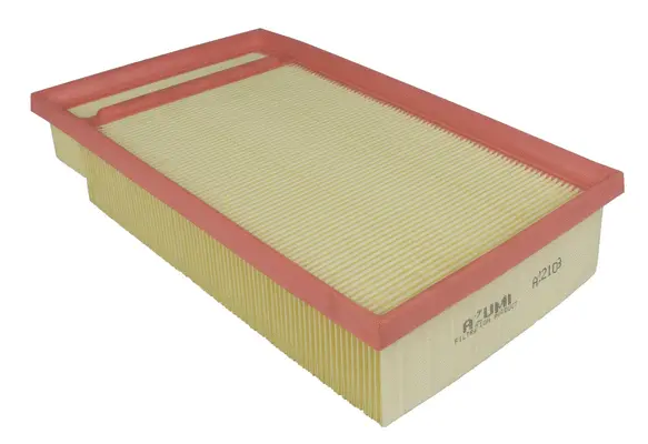 Air Filter (A22103)