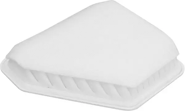 Air Filter (A21517)