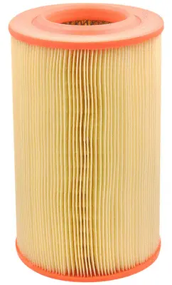 Air Filter (A42160)