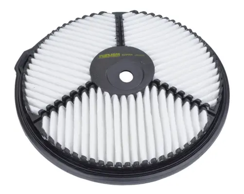 Air Filter (A29954)