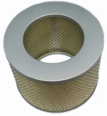 Air Filter (A21187)