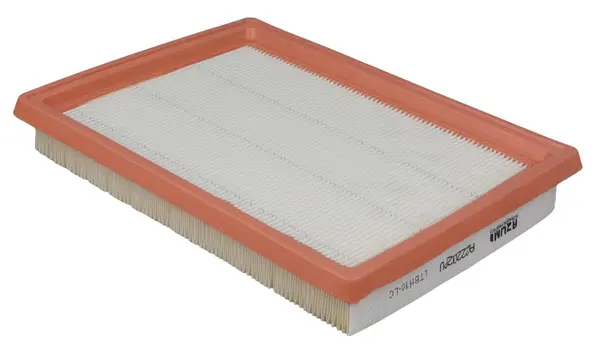 Air Filter (A22202PU)