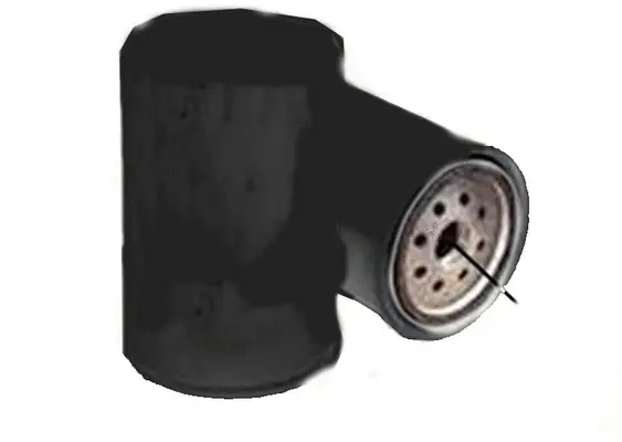 Oil Filter (C42013)
