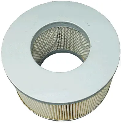 Air Filter (A21029)