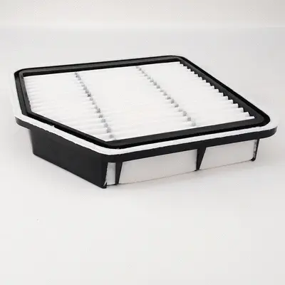Air Filter (A21012)