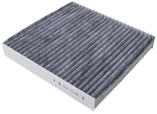 Filter, cabin air (AC21109C)