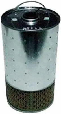 Oil Filter (OE31106)