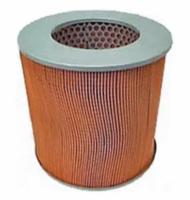 Air Filter (A21148)