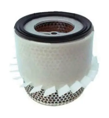 Air Filter (A25435)