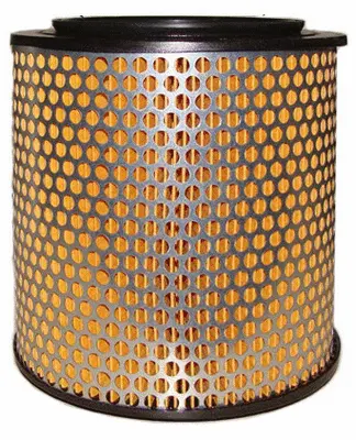 Air Filter (A21143)