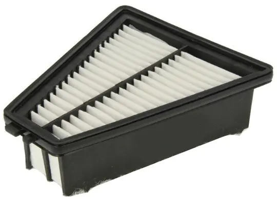 Air Filter (A430111)