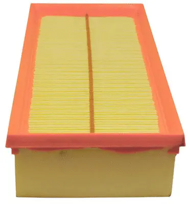Air Filter (A42002)